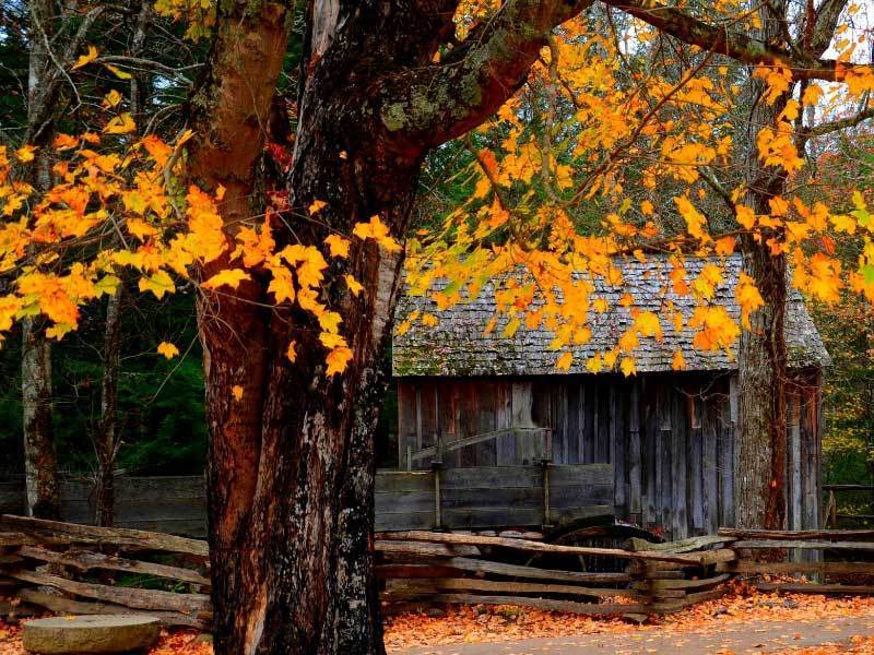 喊她小名 喊她小名